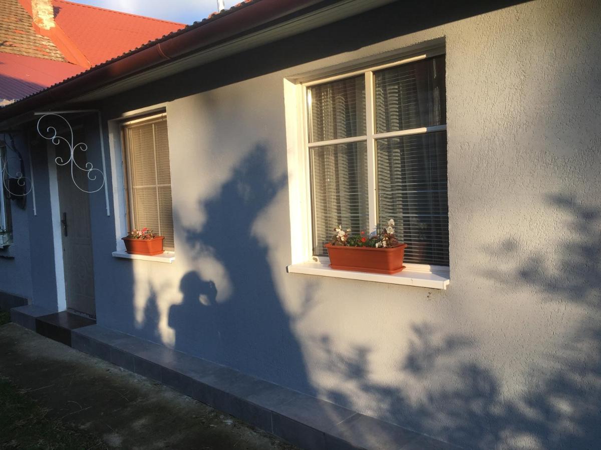 Stefanika 42\5\2 Apartment Berehove  Exterior photo